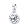 Pandora Radiant Pandora Logo Pendant Charm NEW Retired Authentic Charm 396217CZ