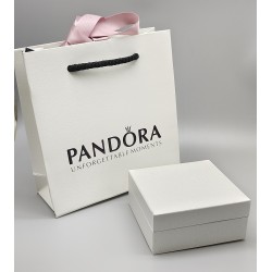 Pandora Gift Bag + Big Box...