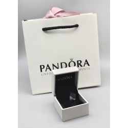 Pandora gift Bag + Small...