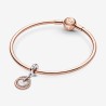 Pandora Always Encircled Dangle Charm Together